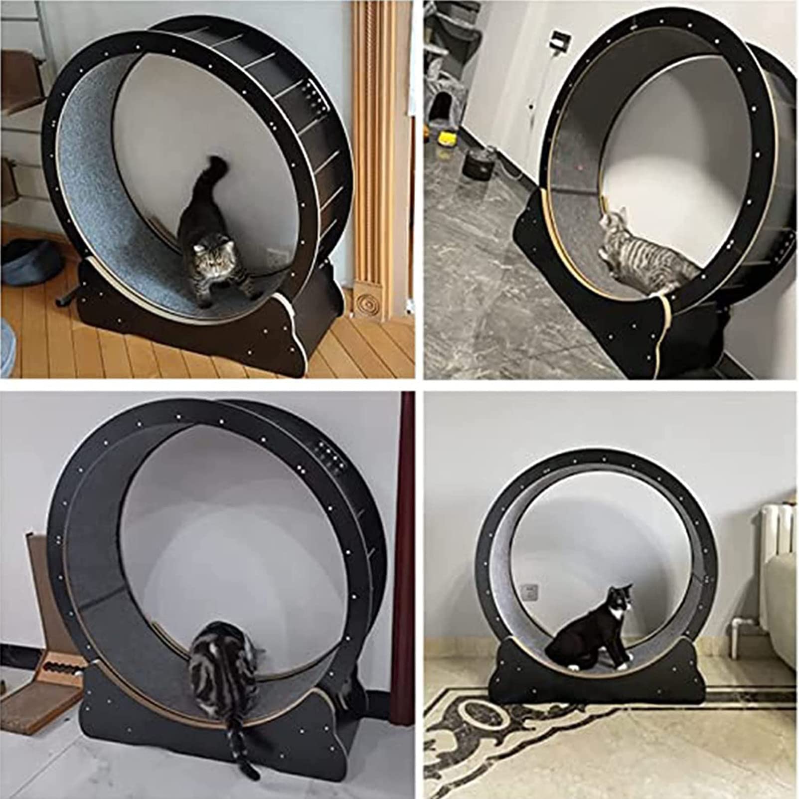 Amazon.co.jp: Cat Wheel Cat Exercise Wheel Large Cat Running Wheel