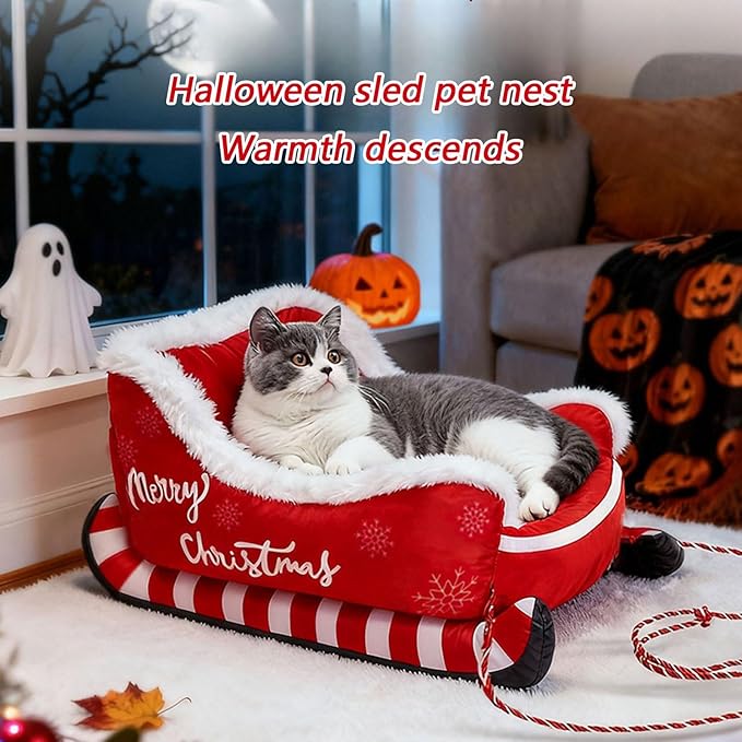 Cama para Perro Tamaño S 50x38 cm Almohadón miniatura 5