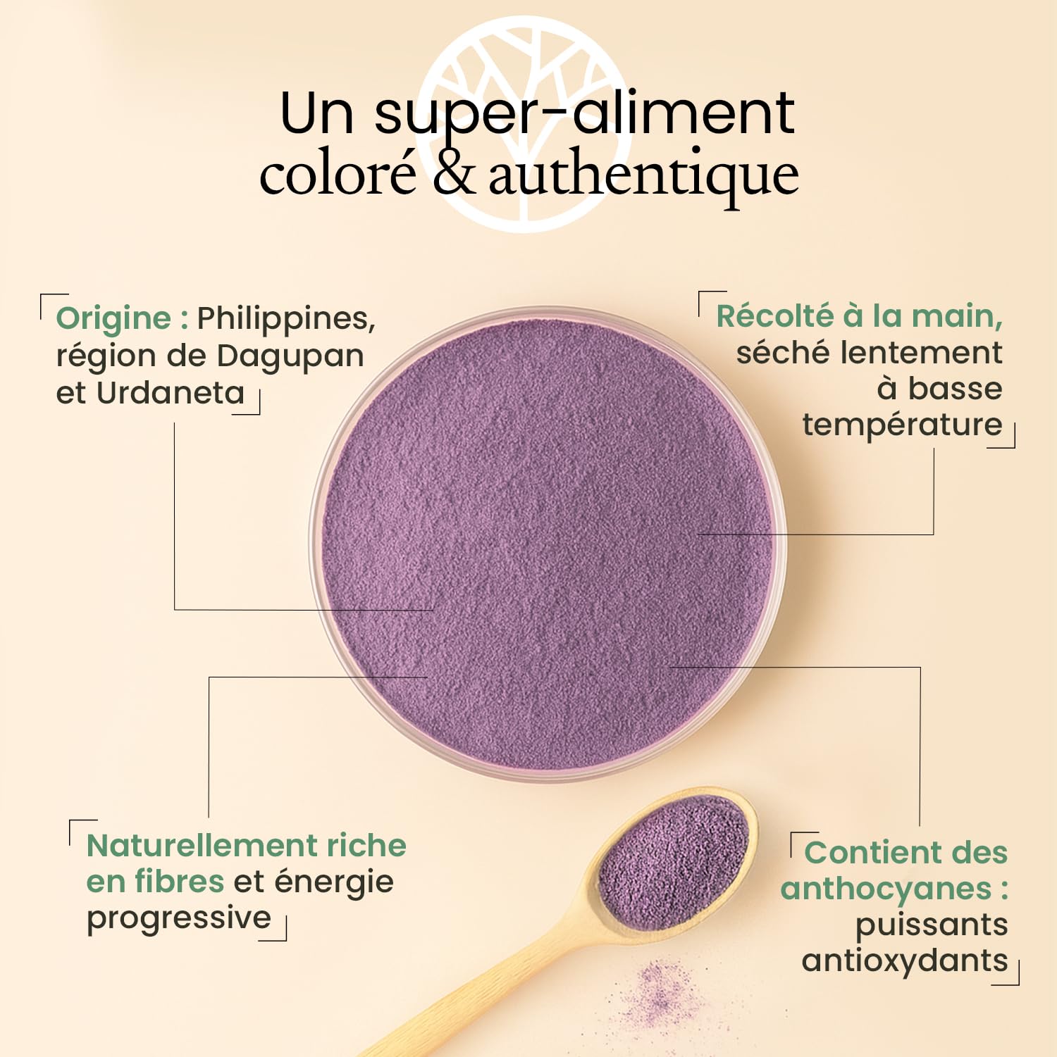 Ube en Poudre 100g | Grade Premium | Saveur Douce | 100% Igname Violette Philippines | Ube Latte, Smoothie, Bubble Tea & Desserts | Antioxydant | Pureté Exceptionnelle | Sachet Refermable | Terravita