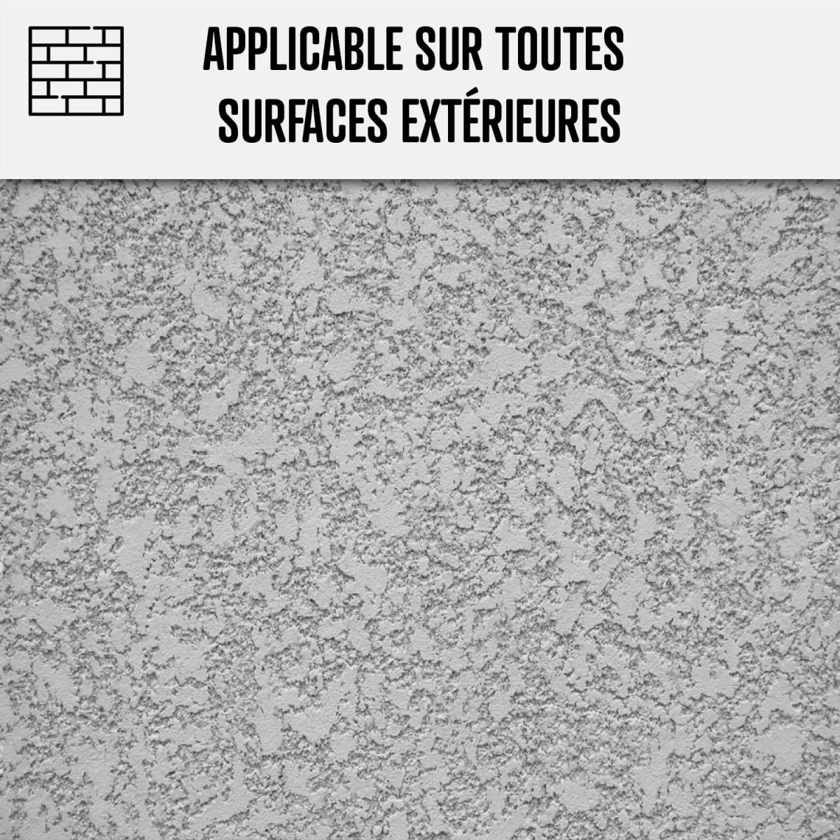Anti-mousse ultra concentré : fongicide, anti dépôt vert toiture, mur, façade, terrasse, élimine, algues et lichens, 1 L (jusqu'à 250 m²) - ARCANE INDUSTRIES