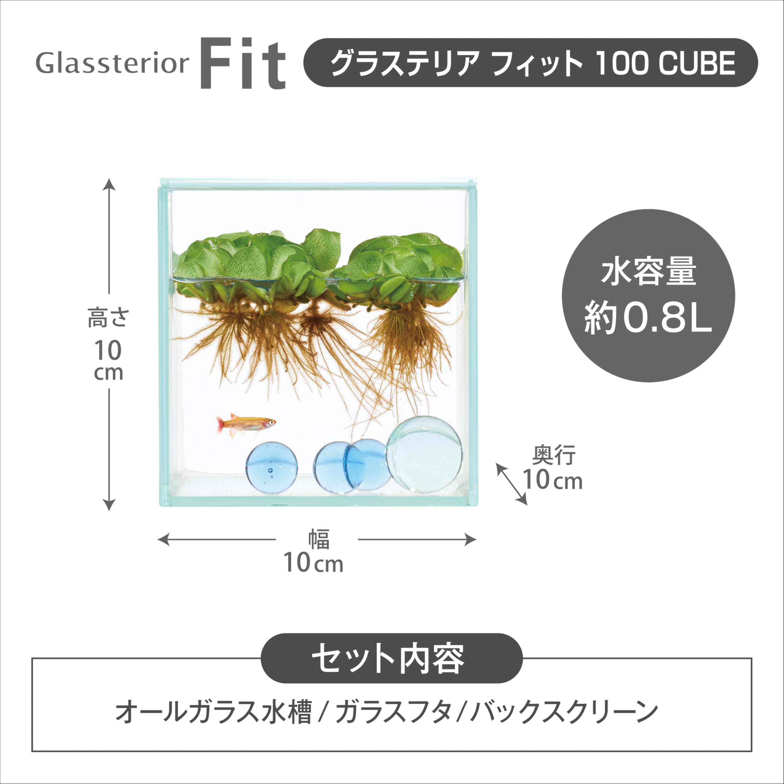１００Ｌ水槽 Amazon | GEX AQUARIUM グラステリアフィット100CUBE ガラスフタ