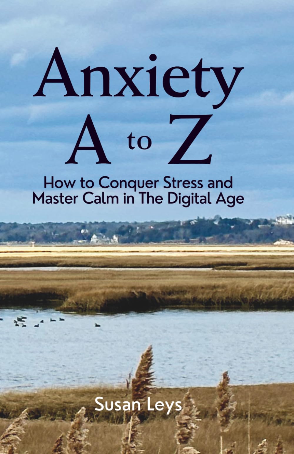 Anxiety A to Z: How to Conquer Stress and Master Calm in The Digital Age (Mental Wellness Essentials)