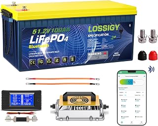 LOSSIGY 48V Lithium Battery Golf Cart, With 18A Charger & LCD Mobile Monitor,100Ah LiFePO4 battery with 200A BMS,10.24kW Output, 1000A Peak Current,Prefect for Golf Carts,RV Solar System