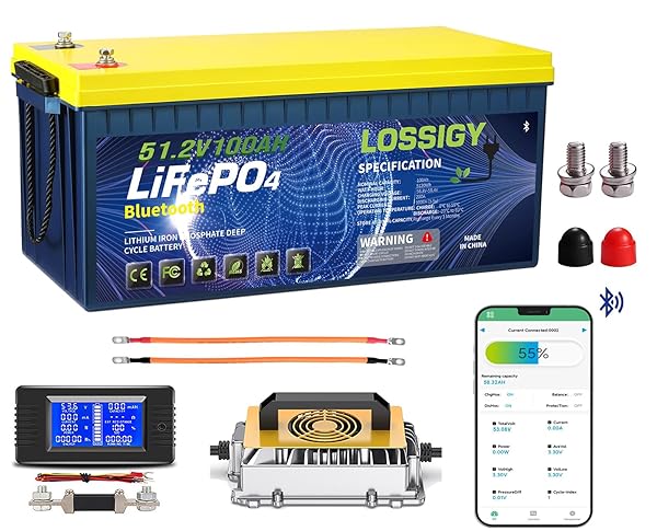 LOSSIGY 48V Lithium Battery Golf Cart, With 18A Charger & LCD Mobile Monitor,100Ah LiFePO4 battery with 200A BMS,10.24kW Output, 1000A Peak Current,Prefect for Golf Carts,RV Solar System