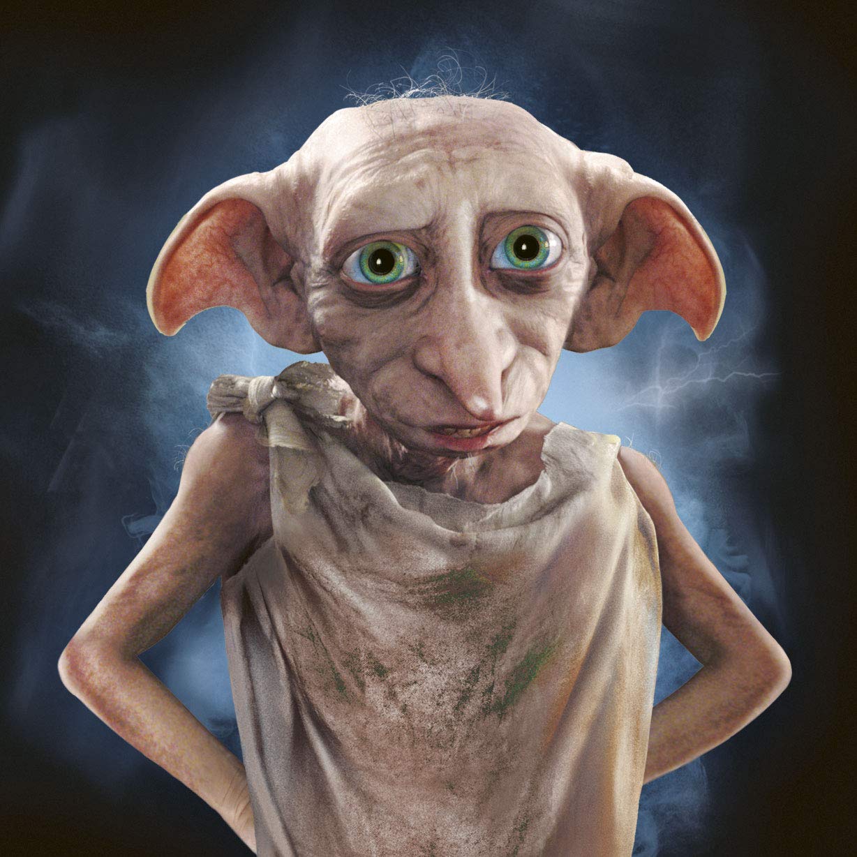 Memory - Harry potter