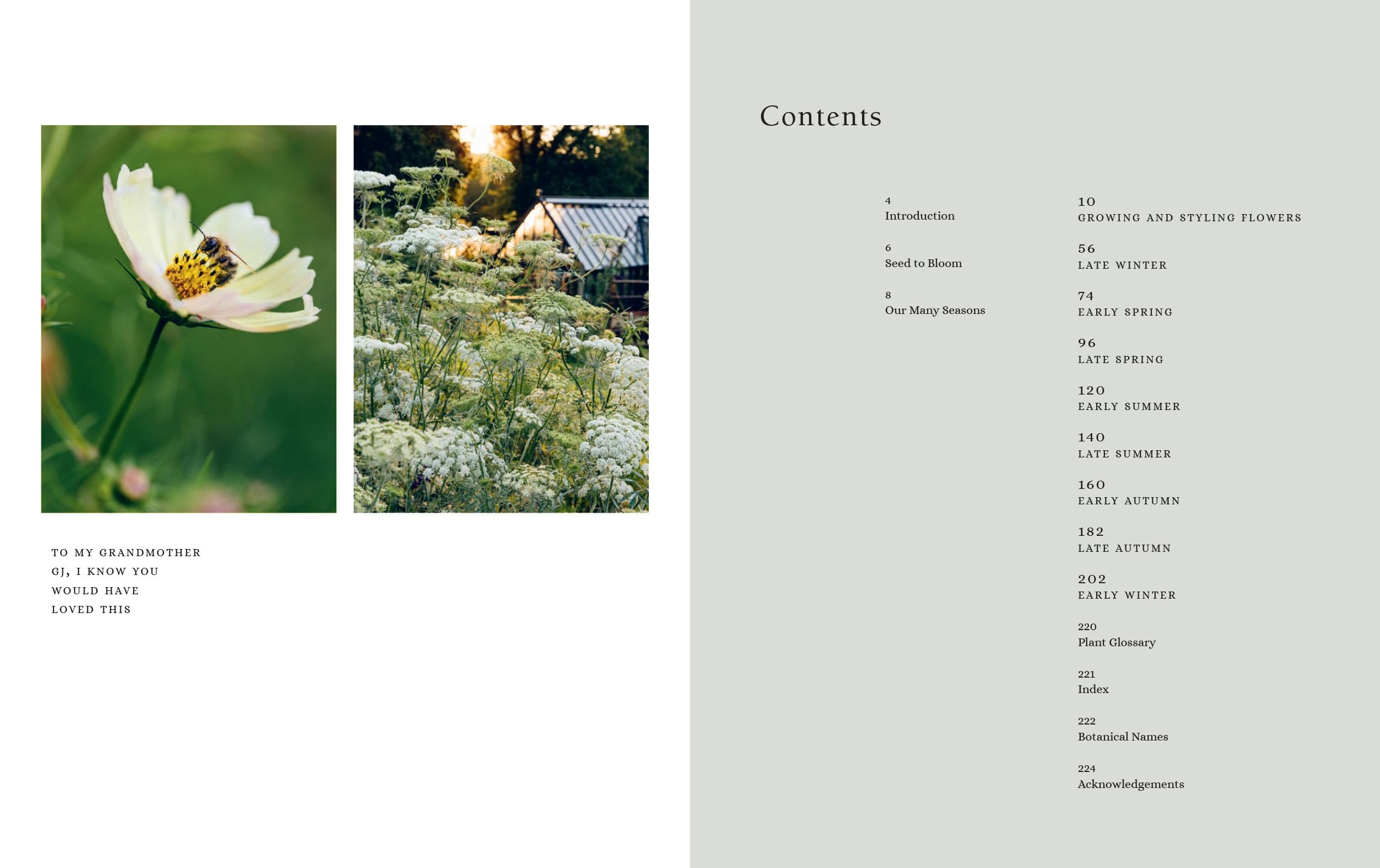 From Seed to Bloom: A Year of Growing and Designing With Seasonal Flowers