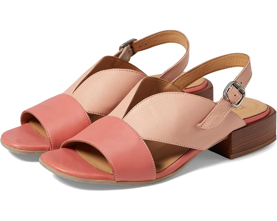 Bueno Gabby - Pair View