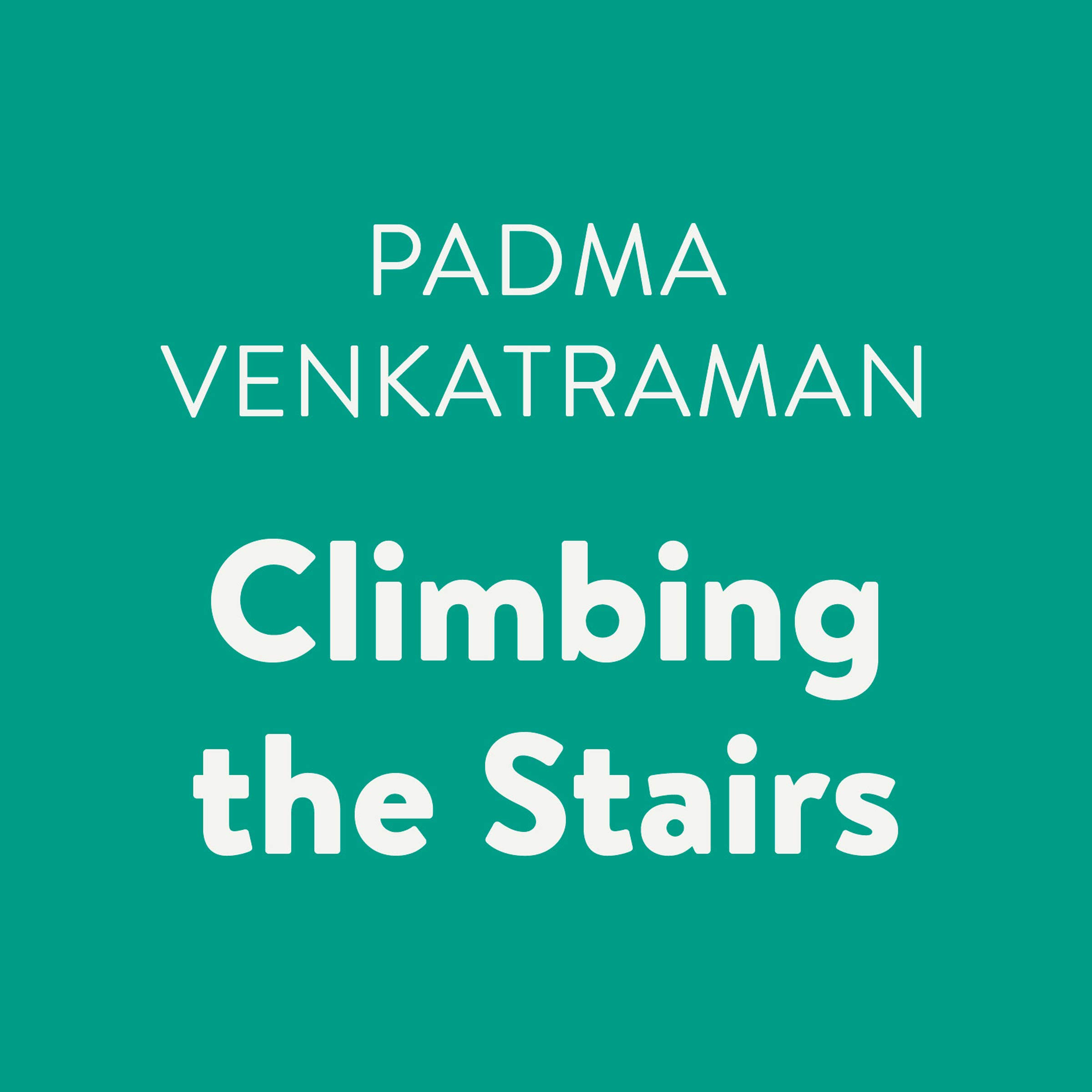 Cover art for Climbing the Stairs