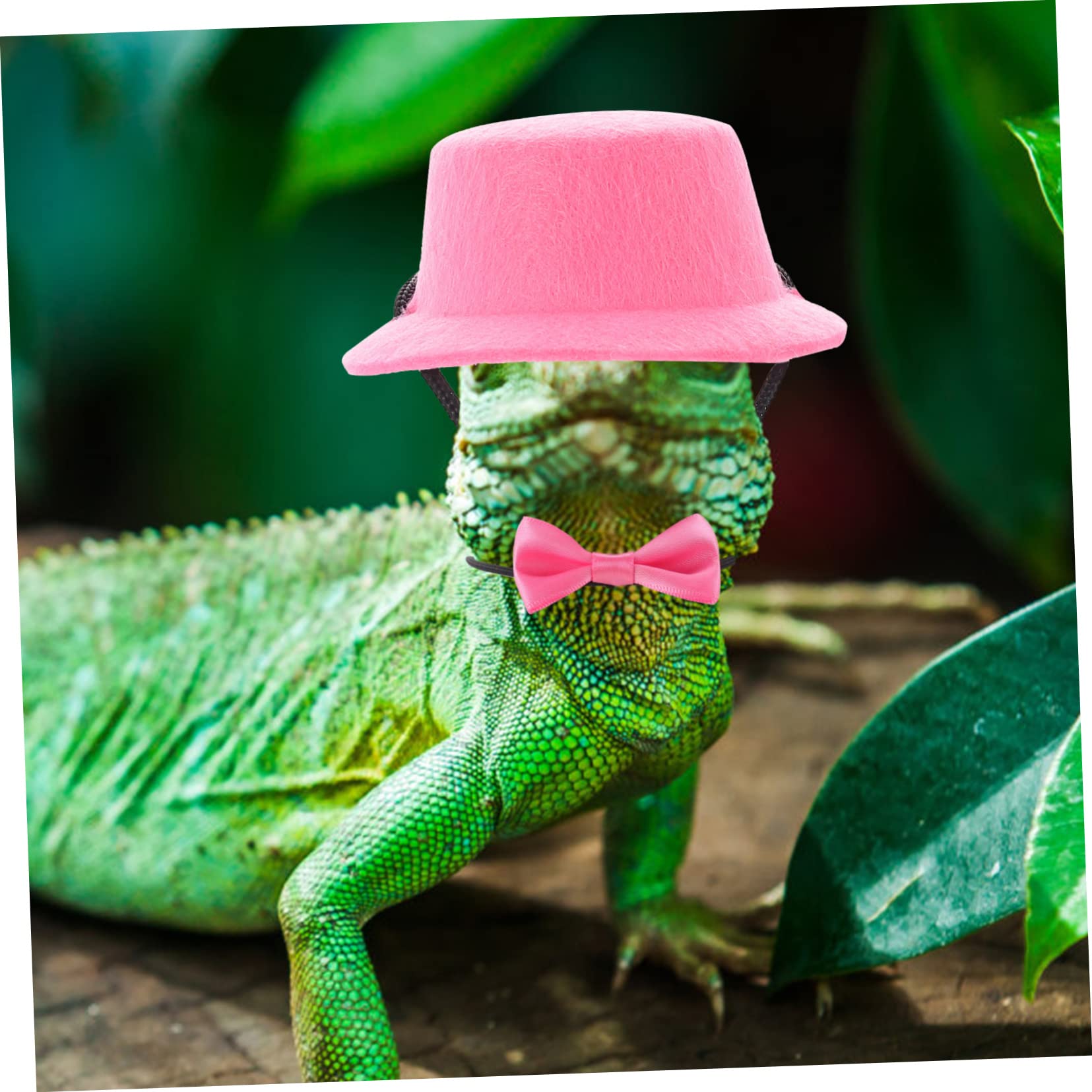 SUPVOX 3sets e Guinzaglio Per Lucertole Con Cappello Decorativo Regolabile Accessorio Per Passeggiate Di Rettili e Piccole Creature Per Bearded Dragons e