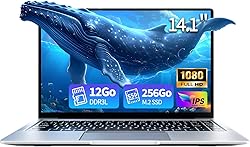 LPNAWZ Ordinateur Portable 14,1 Pouces, 12Go DDR4 RAM 256…