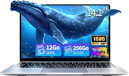 LPNAWZ Ordinateur Portable 14,1 Pouces, 12Go DDR4 RAM 256Go SSD Processeur Celeron N3710, 5000mAh Écran IPS 180° PC Portable Win 11 Laptop WiFi5 USB3.0 Mini HDMI BT pour Bureau Études - 1