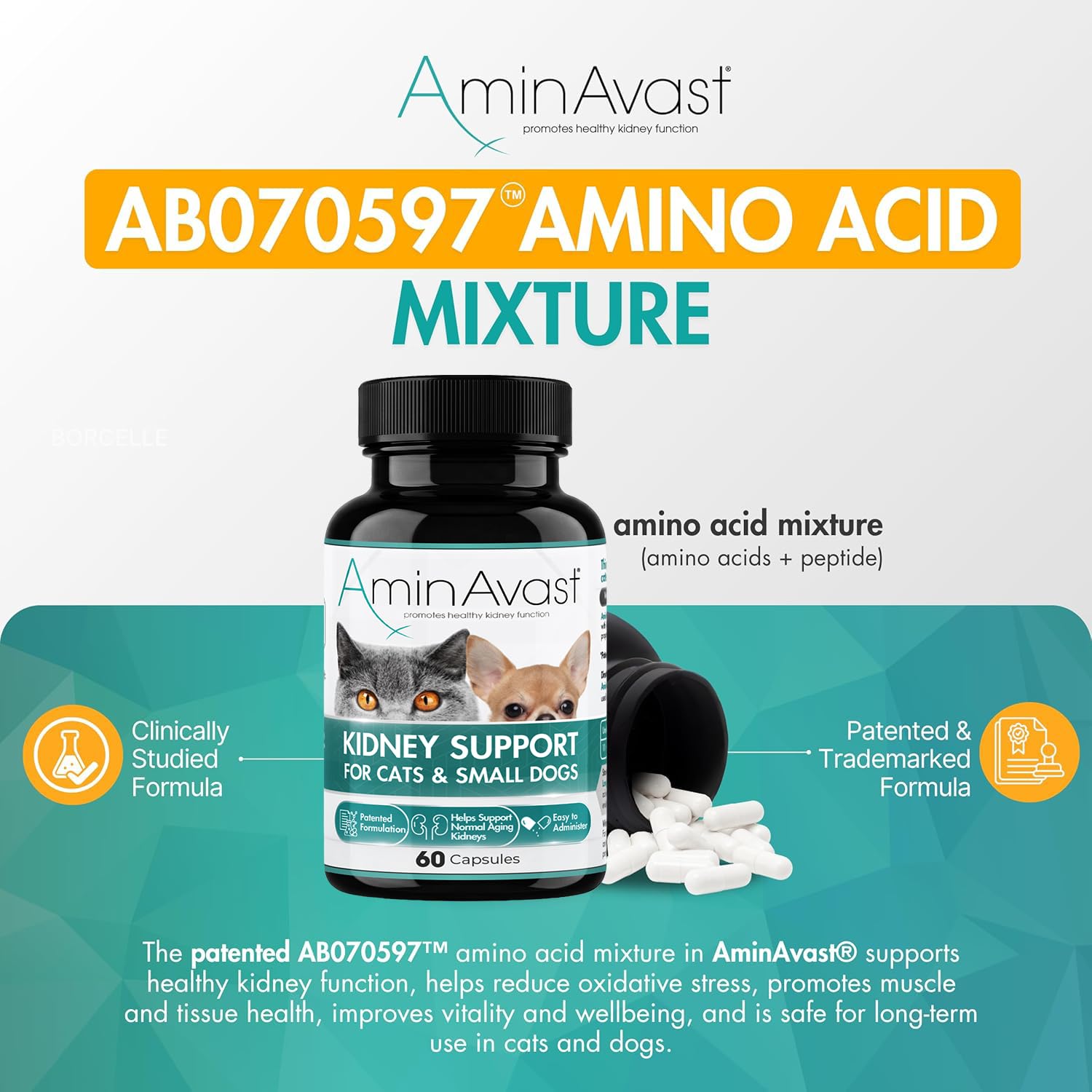 AminAvast 300mg Kidney Support for Cats & Small Dogs, 60 Sprinkle Capsules — Amazon image 3
