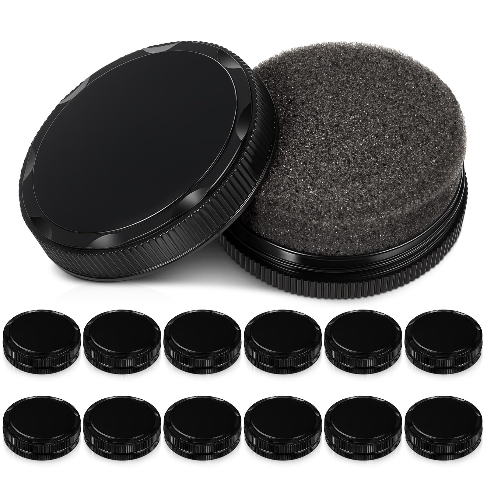 Loopeer 12Pcs Shoe Shine Sponge, Instant Leather Care