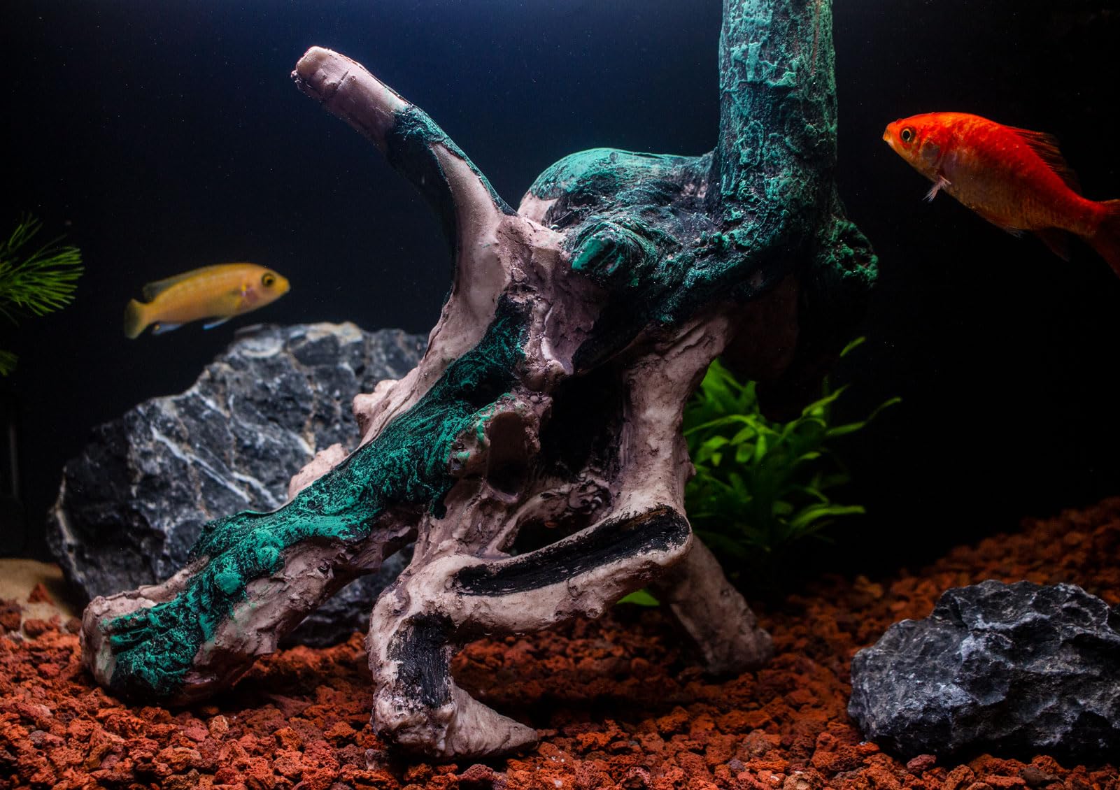 TAOMYPETS Fish Tank Decorations Aquarium Décor Resin Artificial Tree Trunk Root (G), Multicolor, 4 x 3 x 3 cm - Image 2