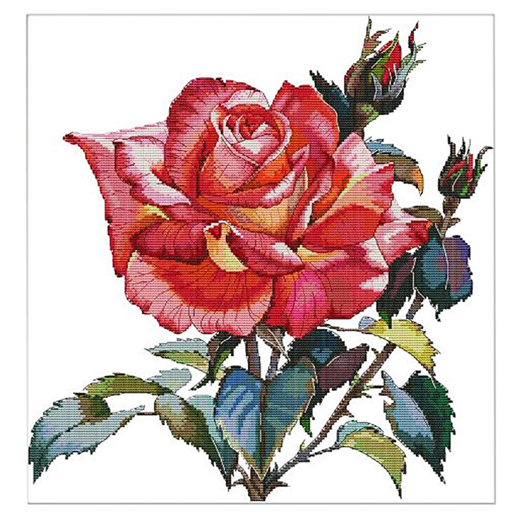 Rose Flower Cross Stitch Kit DIY Handmade Needlework Stamped 14CT 43x44cm