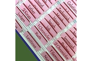 Holy Bible's Pink Guiding Tabs