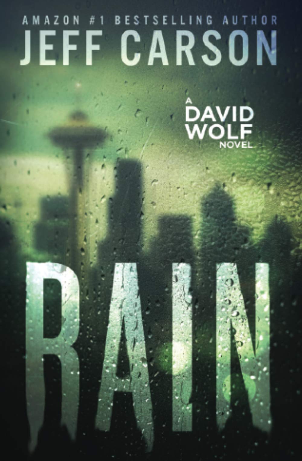 Rain: 11 (David Wolf Mystery Thriller Series)