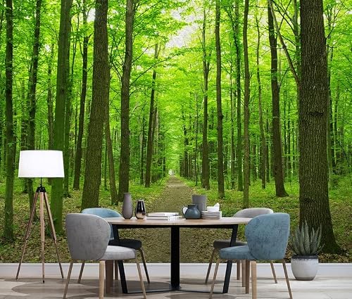 Murales de pared de tamaño personalizado, murales de pared autoadhesivos extraíbles para despegar y pegar, papel tapiz fotográfico grande, adhesivo de pared de bosque para sala de estar y dormitorio