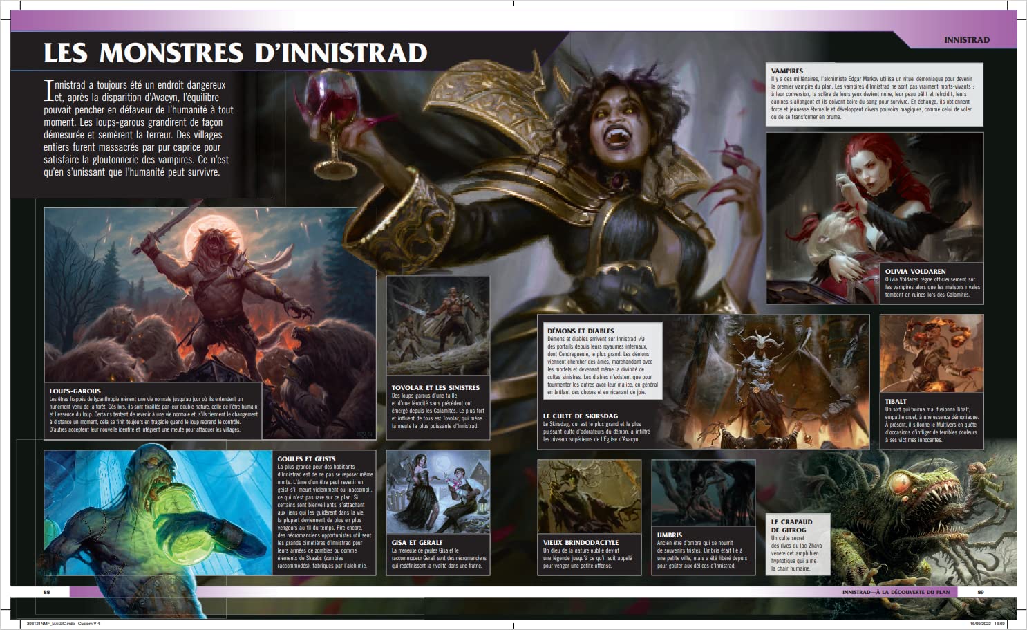 MAGIC the GATHERING Le guide visuel