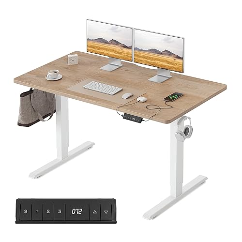 FEZIBO Bureau Électrique Réglable en Hauteur avec Ports de Charge