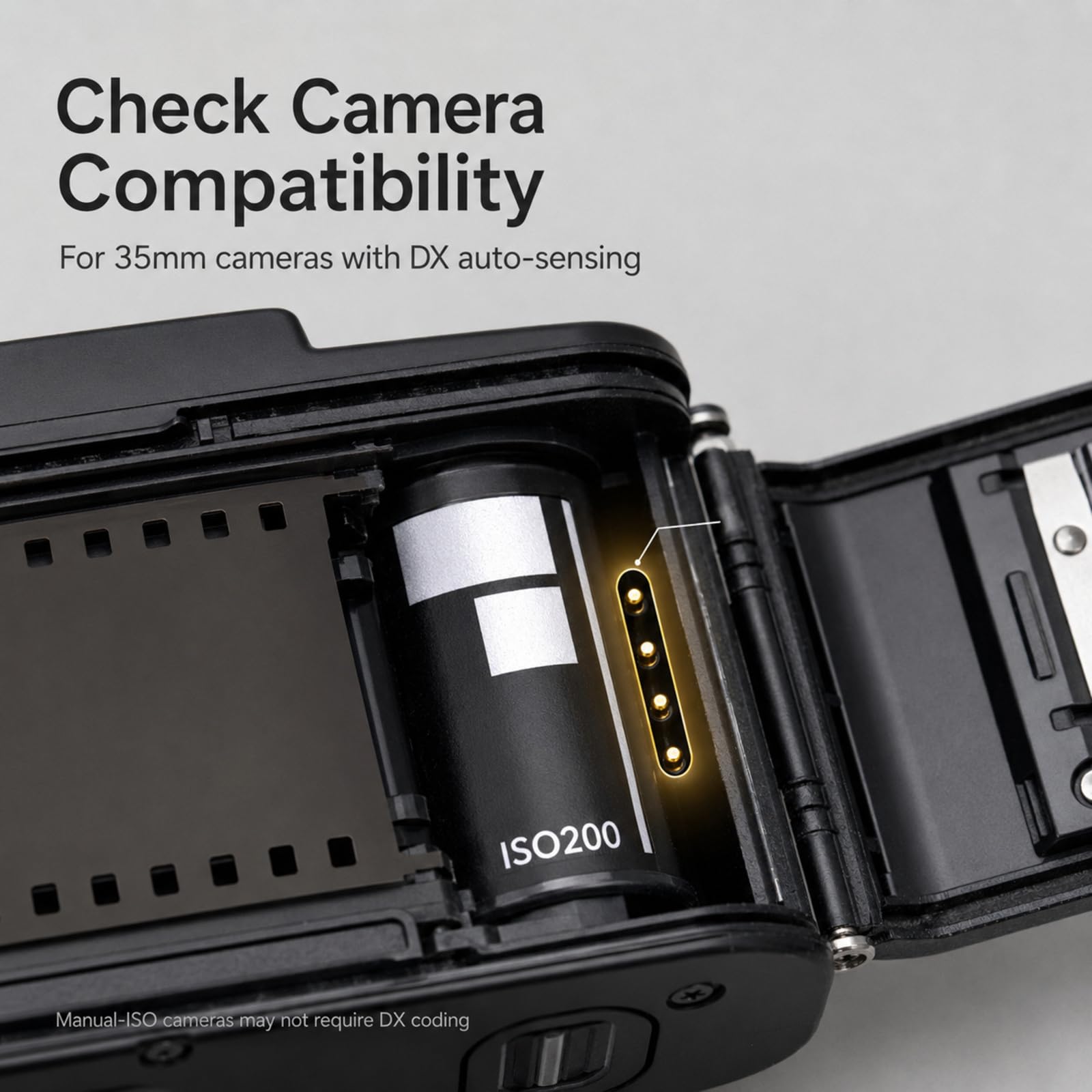 Amazon.com: ISO 200 DX Code Stickers for 35mm Film Canisters, 10