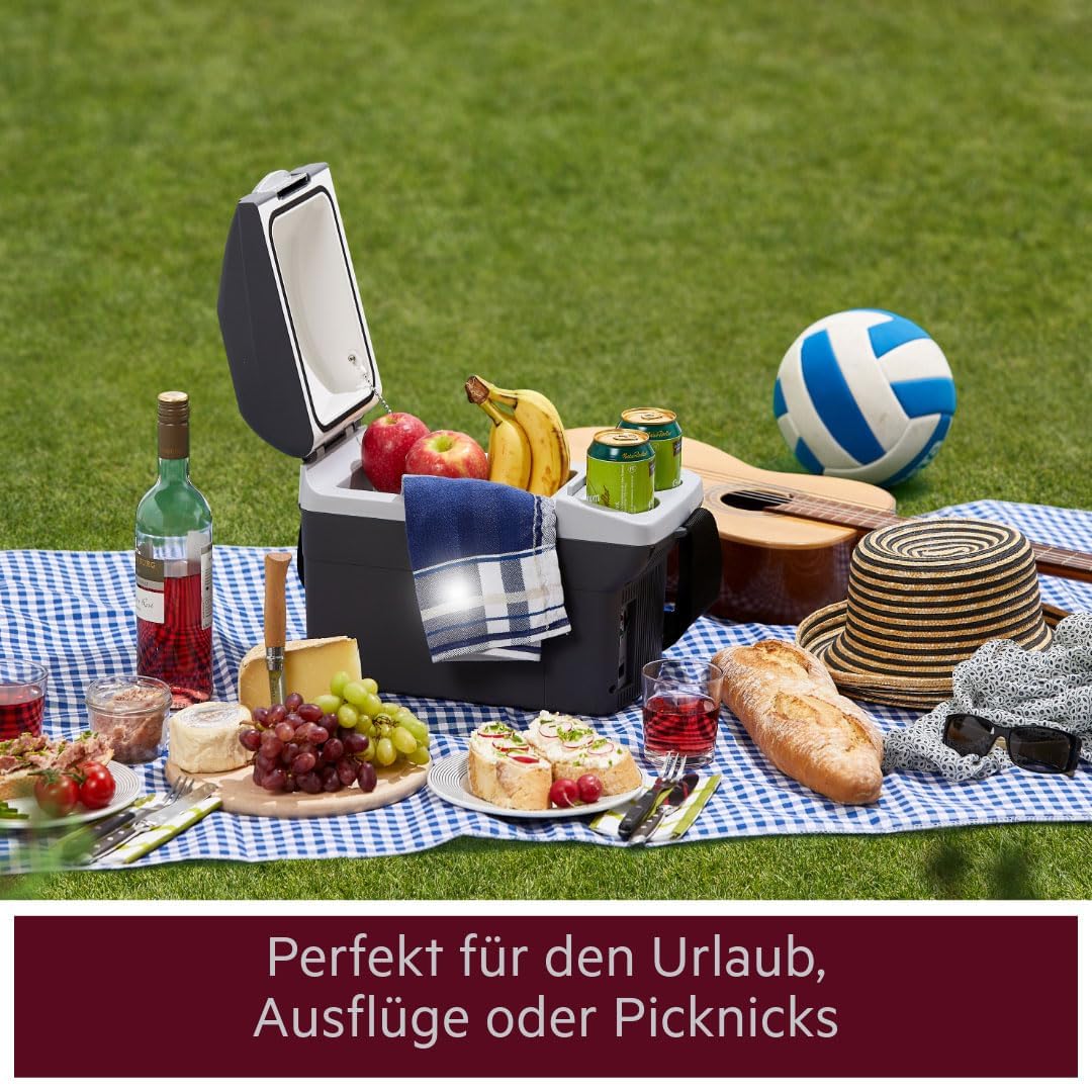 AEG Automotive Board-Bar BK 6 Thermoelektrische Kühl- und Warmhaltebox 6 Liter, 12 Volt für Auto und Steckdose, anschnallbar im PKW