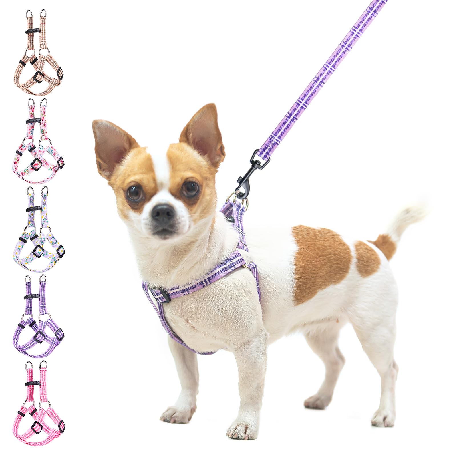 BEAUTYZOO No Pull Dog Harness and Leash Set - Adjustable Step-in Puppy Harness for Small Medium Large Dogs, Escape Proof Soft Nylon Vest with Double D