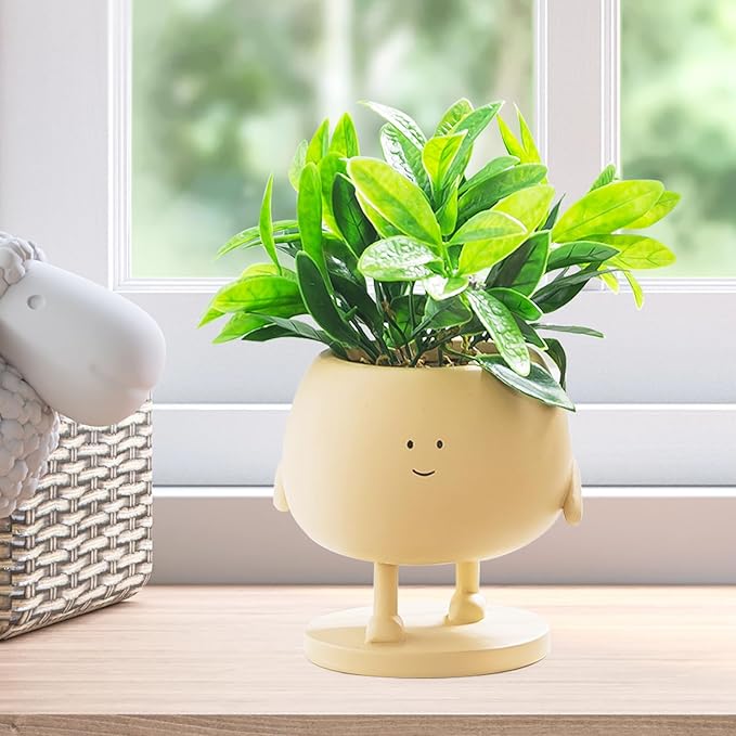 Cute Resin Flower Pot with Drainage Hole