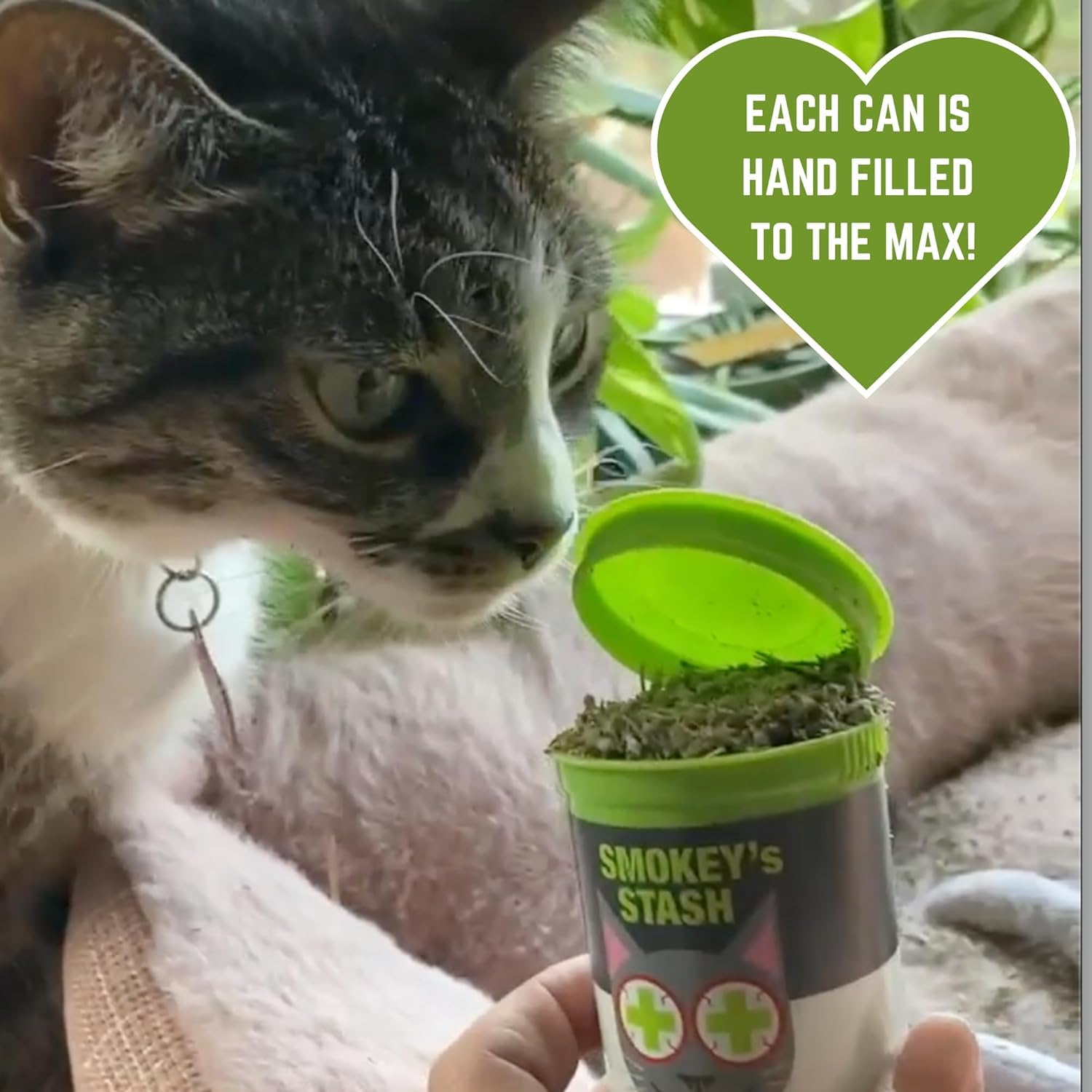 Smokey's Stash Organic Katzenminze OG Puss - Potent Weed for Cats - Small Pop Top Dry Nip, 1 Pack, grün