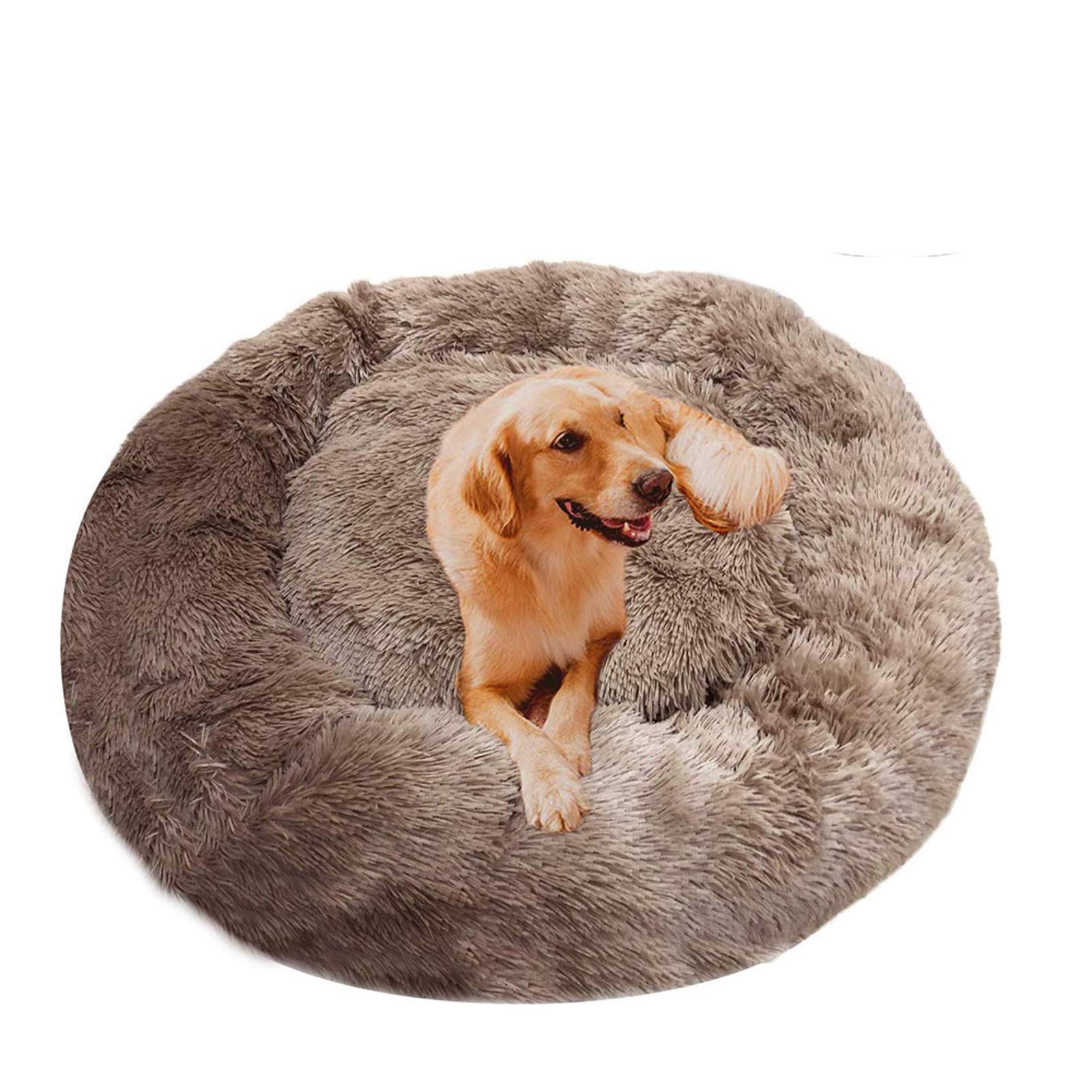 DUCHEN Haustierbett In Doughnut-Form – Orthopädisch, Rutschfester Boden, Waschbar, Für Kleine Bis Große Hunde & Katzen