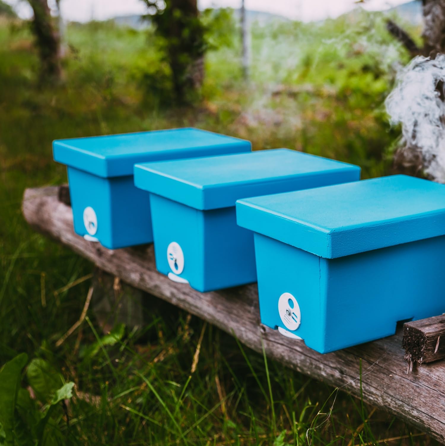 LYSON Mini ruche d'abeilles pour une famille en polystyrène peint - Règle de mariage - Accessoires d'apiculture
