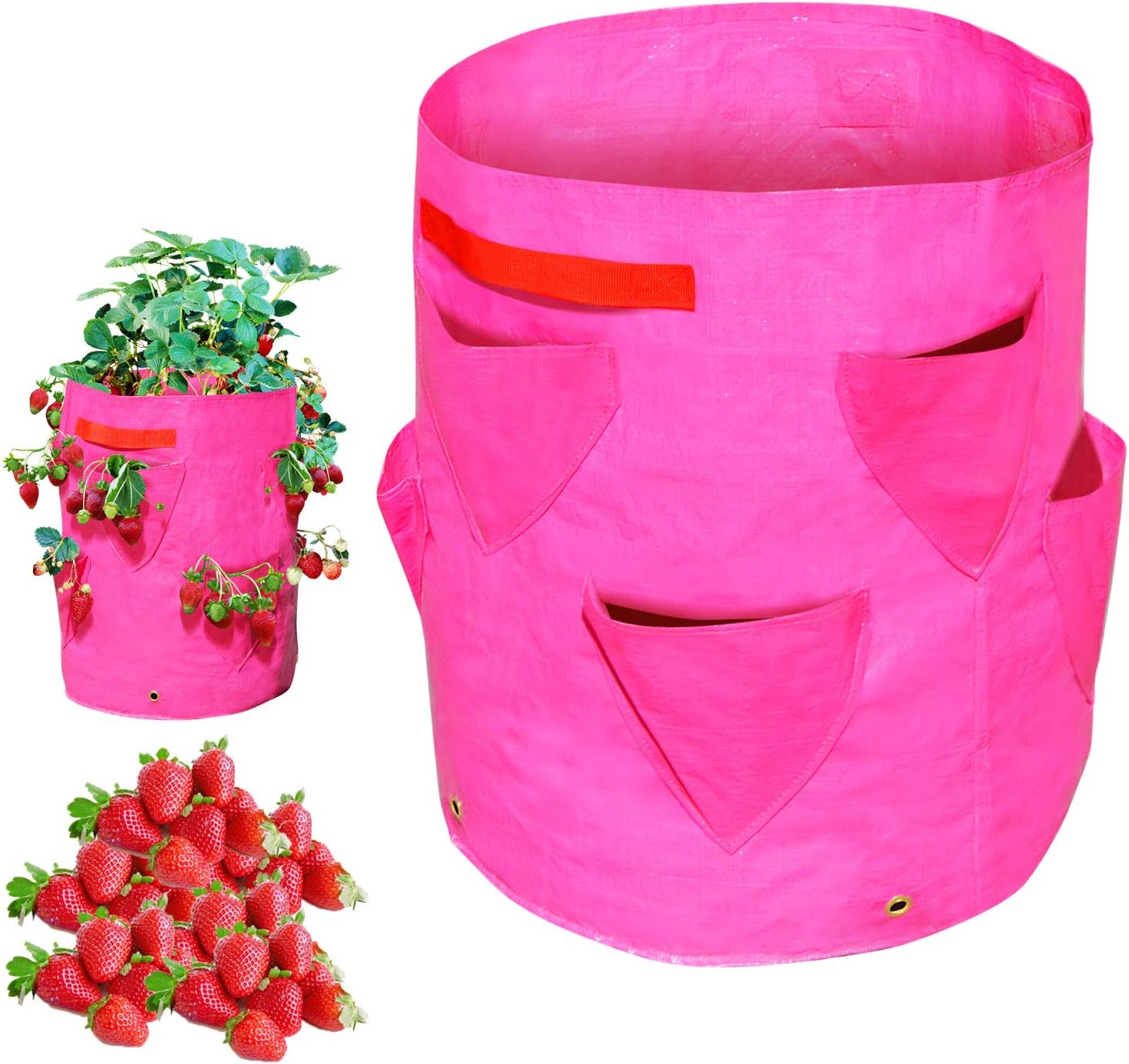 BenefitUSA Strawberry Planting Grow Bags Garden Planter Bags, 1/2 Pack (2)