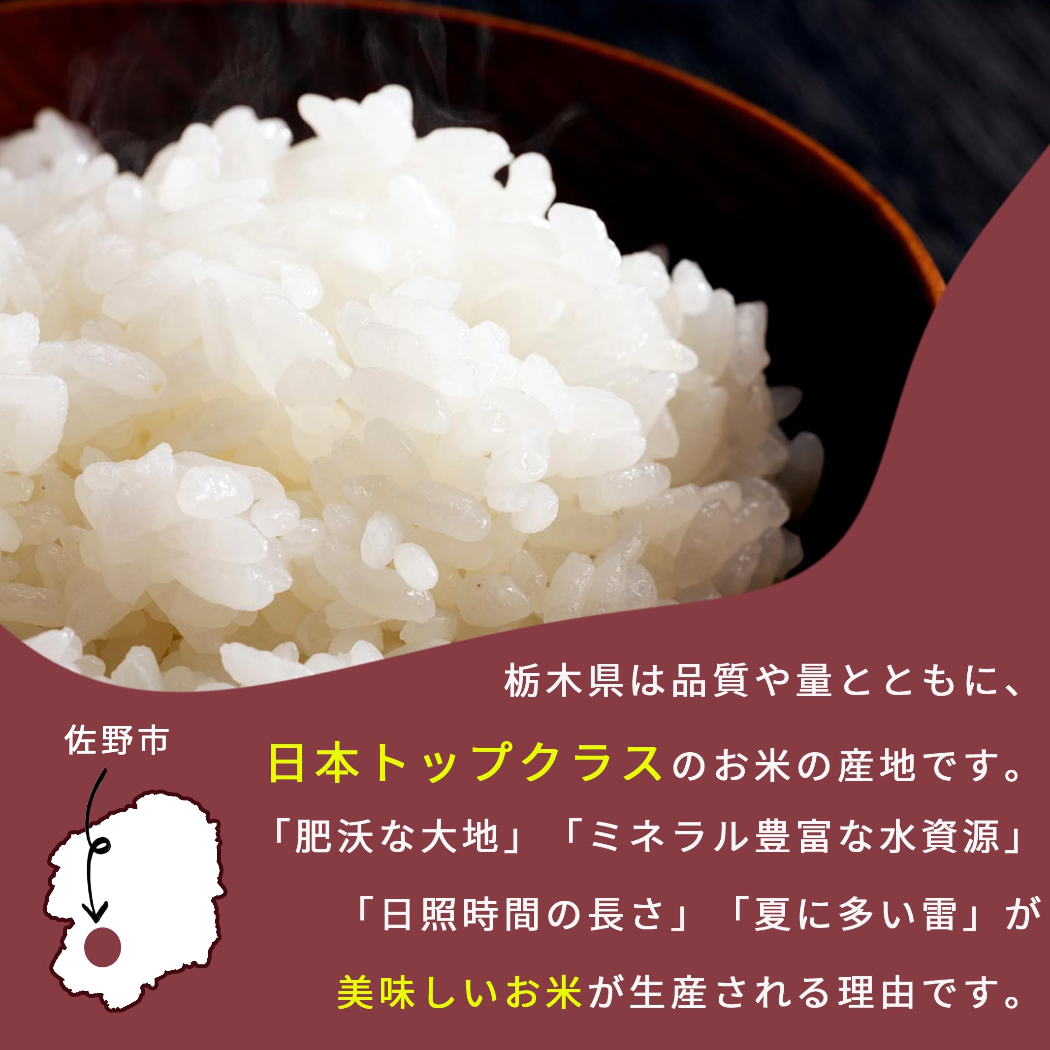 Amazon.co.jp: 令和7年産 とちぎの星 【 田笑米 】 5㎏ 減農薬栽培 特A