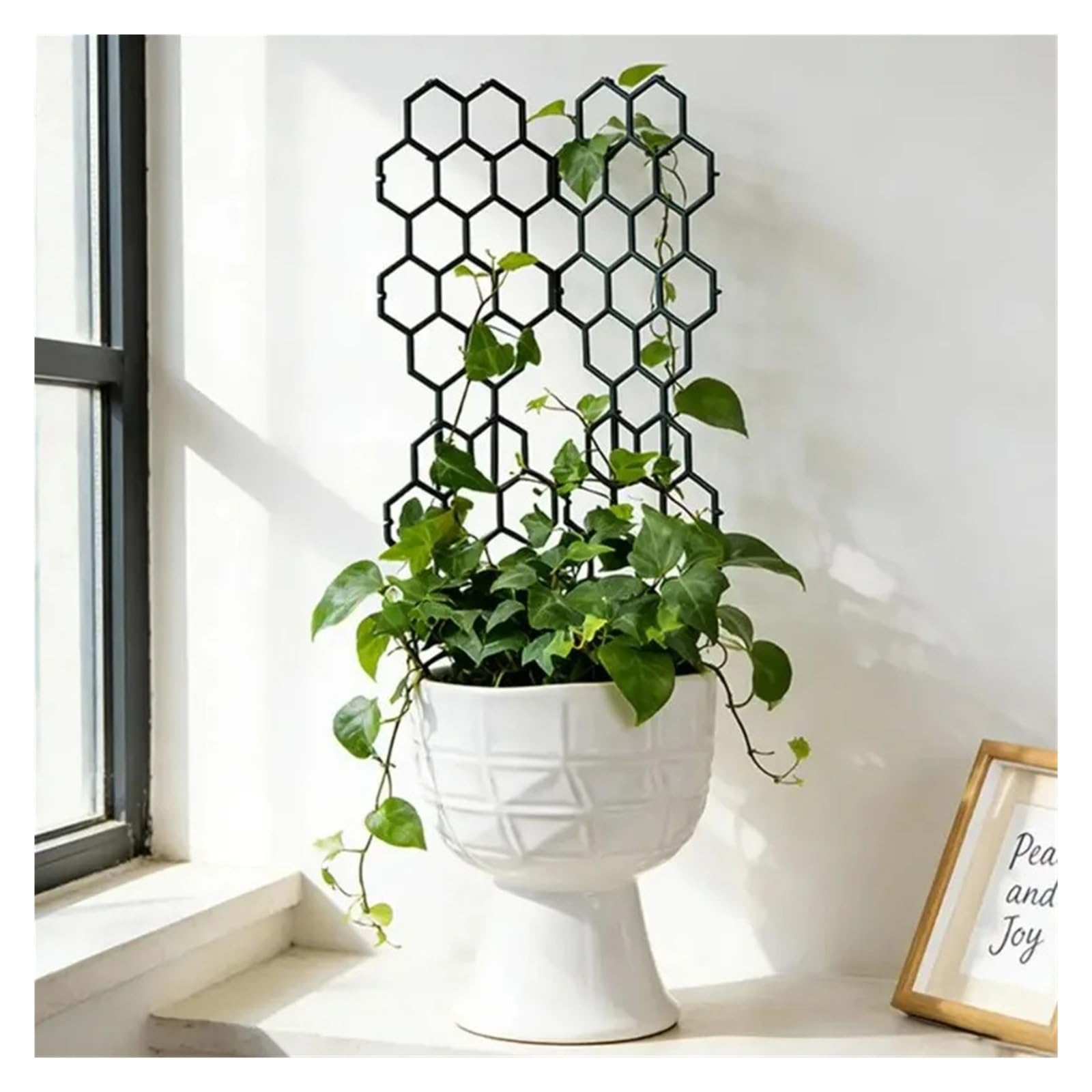 Tuteurs pour Plantes Support d'escalade en Treillis for Plantes