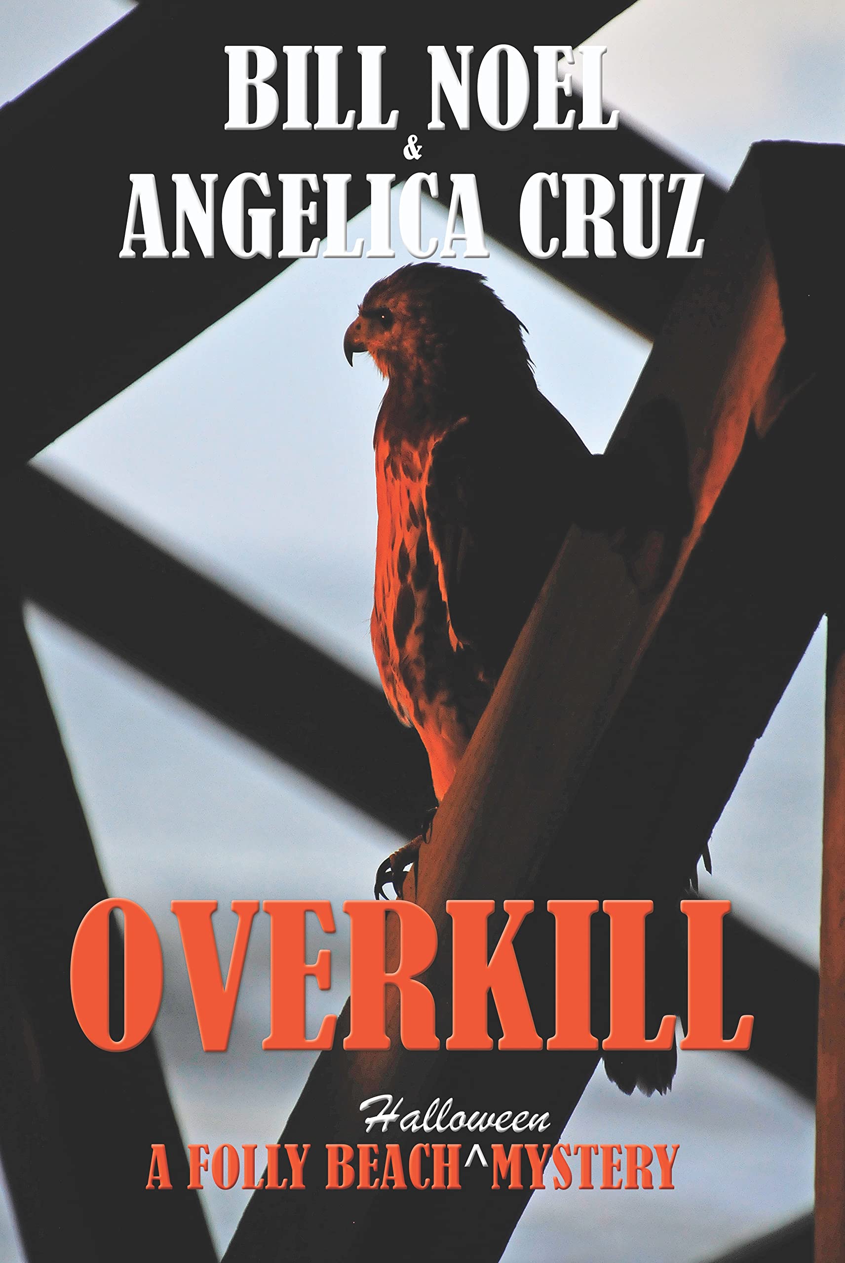 Overkill: A Folly Beach Halloween Mystery (A Folly Beach Mystery Book 24)