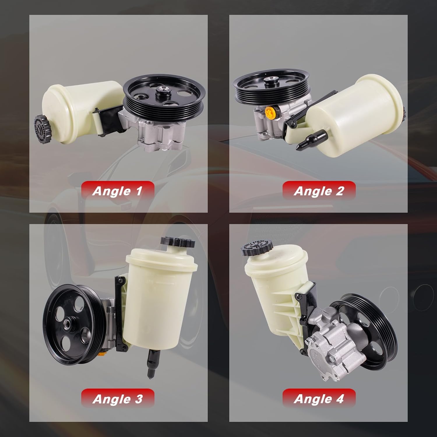 20-1013 Power Steering Pump with Pulley and Reservoir Assembly, Suitable for Dodge Ram 1500 V6 3.7L V8 4.7L 5.7L (2009-2010) Replaces 55398903AE, Power Assist Pump