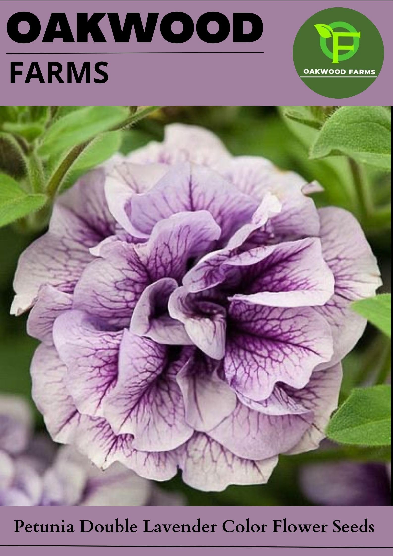 Oakwood Farms® Petunia Double Lavender Color Aromatic Flower Seeds For Gardening (Pack Of 100 Seeds) (B0CCJLJQWW) Amazon Price History, Amazon Price Tracker