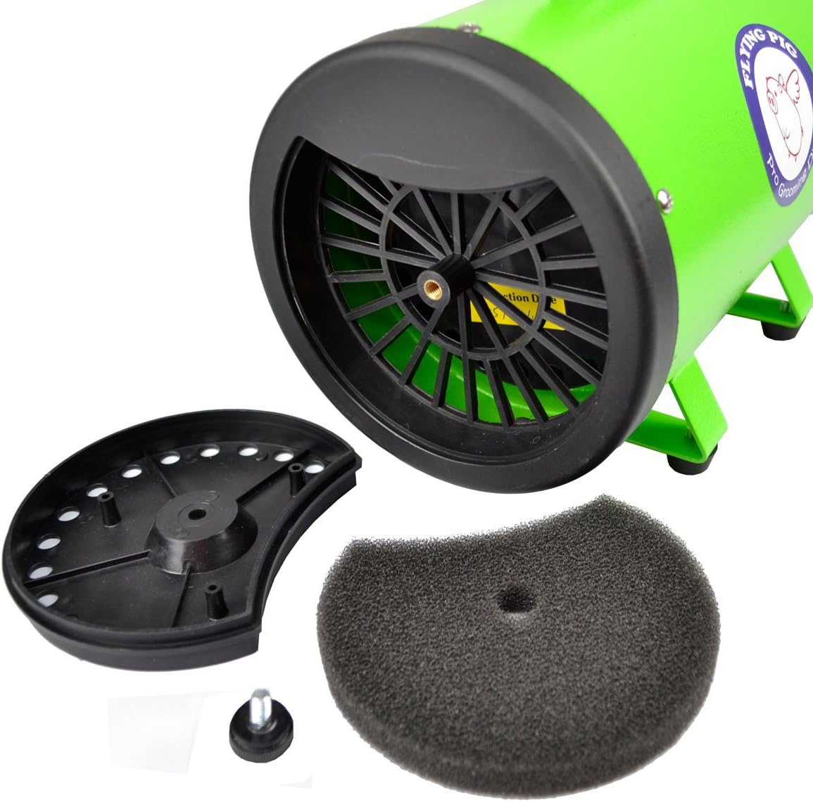 Flying Pig High Velocity Dog Pet Stand Grooming Dryer w/Variable Air Speed & Heat (Green)
