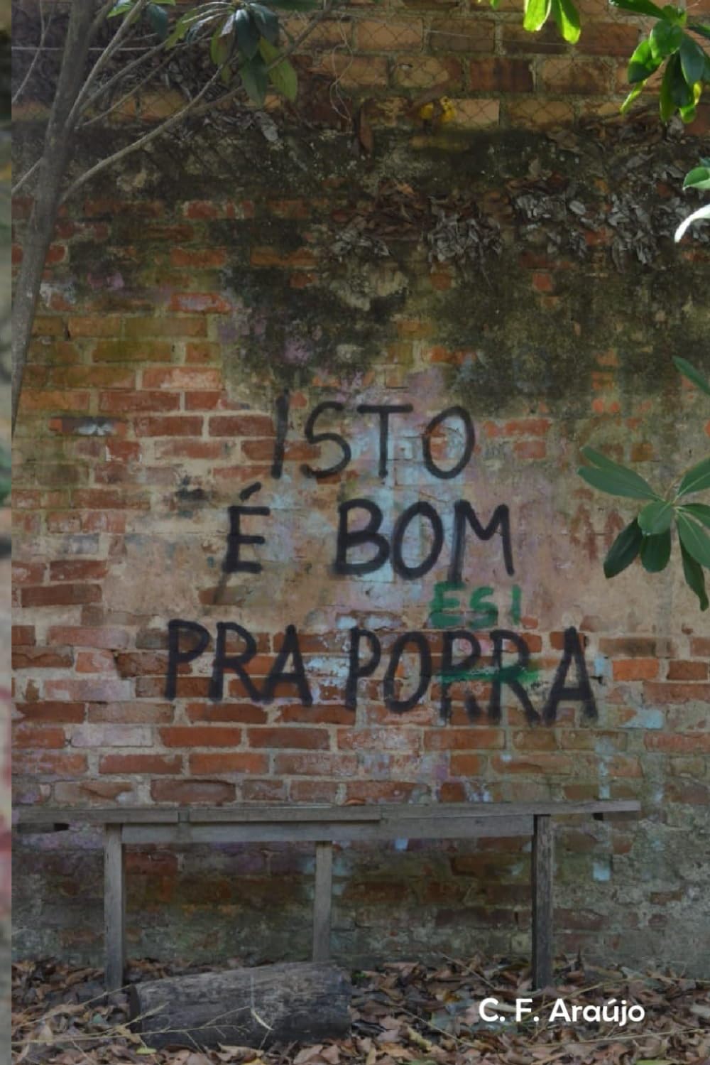 ISTO É BOM PRA PORRA/POESIA