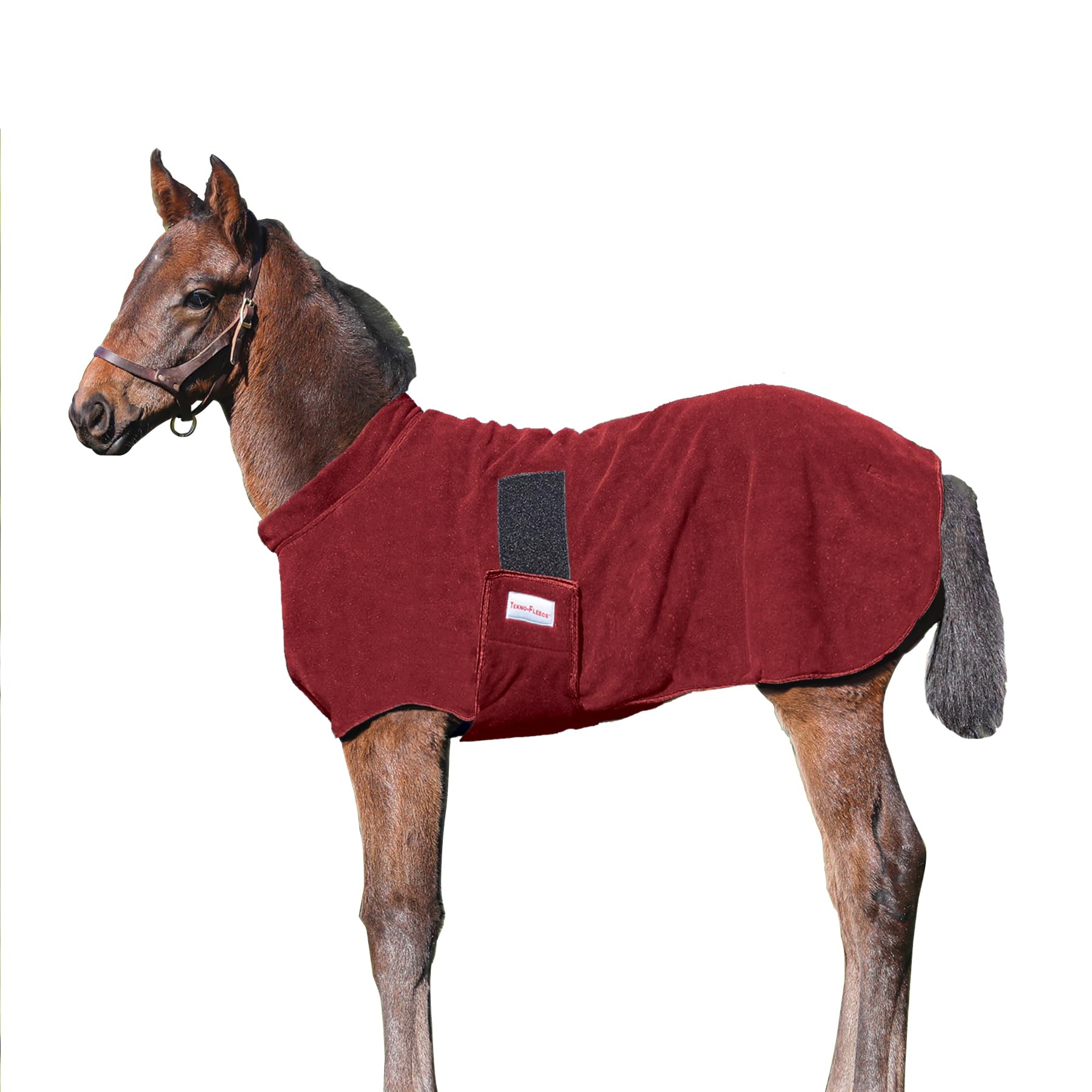 Dura-Tech Fleece Foal Warmer | Essential Horse Breeding Accessory | Technical Fleece Foal Warmer | Moisture-Wicking | Easy On and Off Design | Size X-Large | Color Burgundy