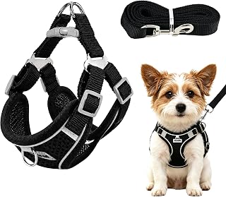 Anti Zug Hundegeschirr Kleine Mittelgroße Hunde
