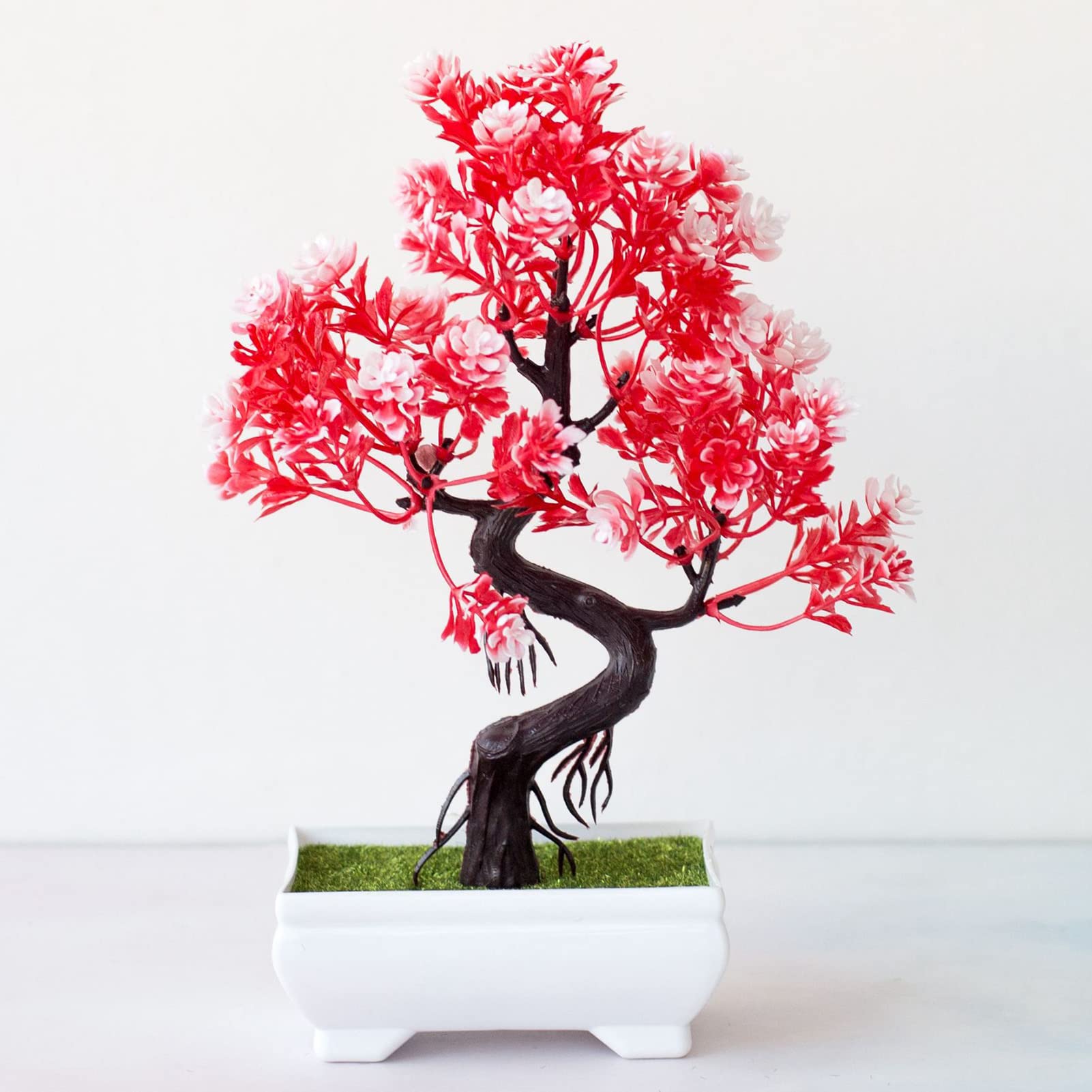 bonsai tree real for sale Bonsai