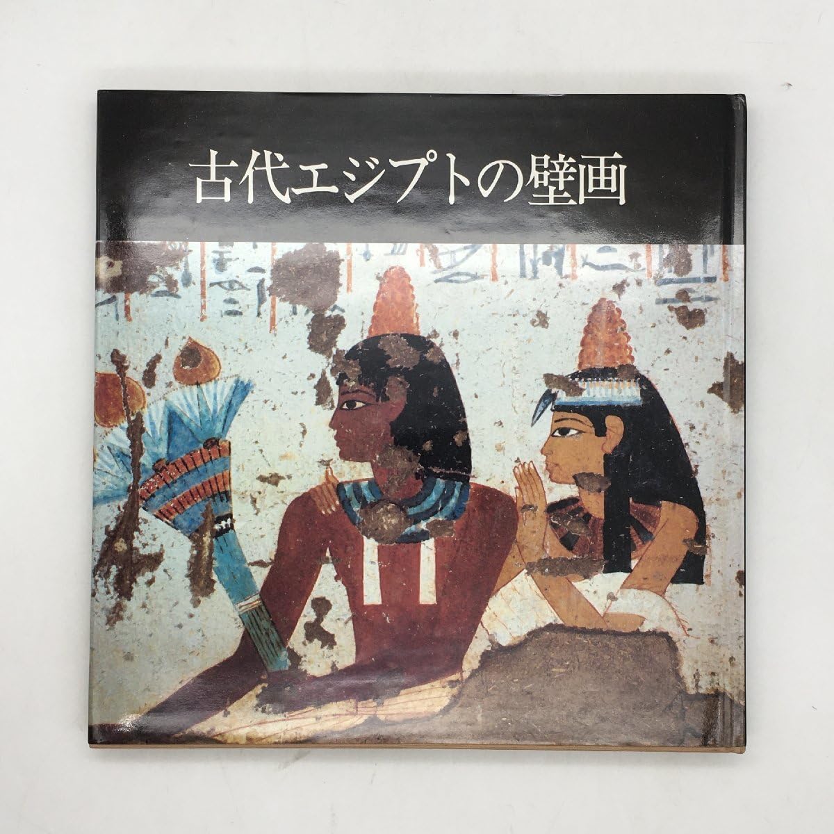 古代エジプトの壁画   /大日本絵画/薄井憲二（単行本） 古代エジプトの壁画 | 薄井 憲二 |本 | 通販 | Amazon