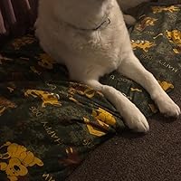 E4Emporium Pet Dog Bed Cushion Xl Size With Replaceable & Washable Zip