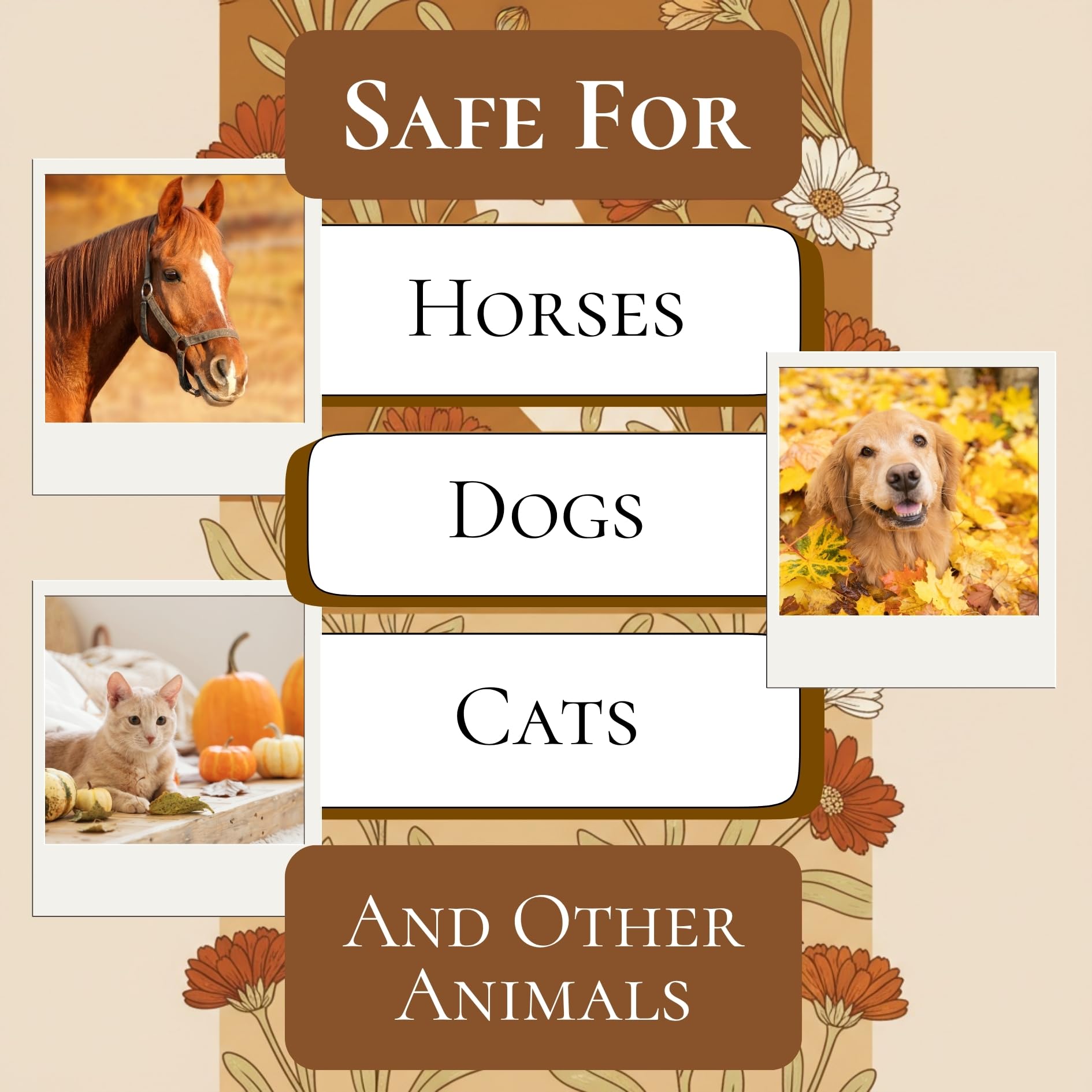 Natural Allergy, Cough, and Respiratory Relief Formula for Horses, Dogs, and Cats, Calendula Blend, Respiratory Support Supplement, Corazón Therapeutics (8 oz) — Amazon image 4