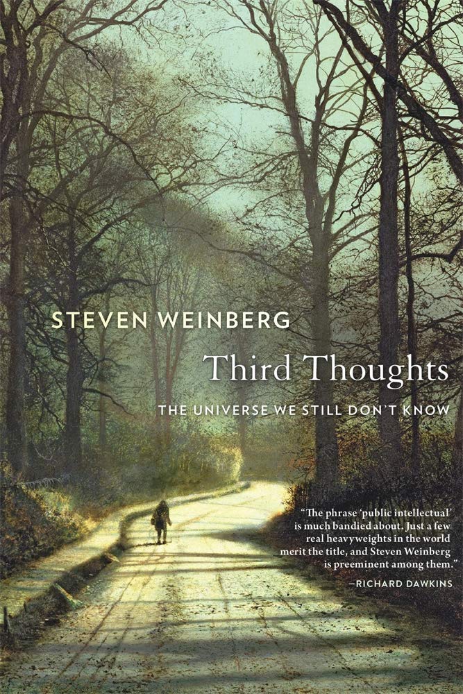 Third Thoughts by Steven Weinberg (Paperback Book)