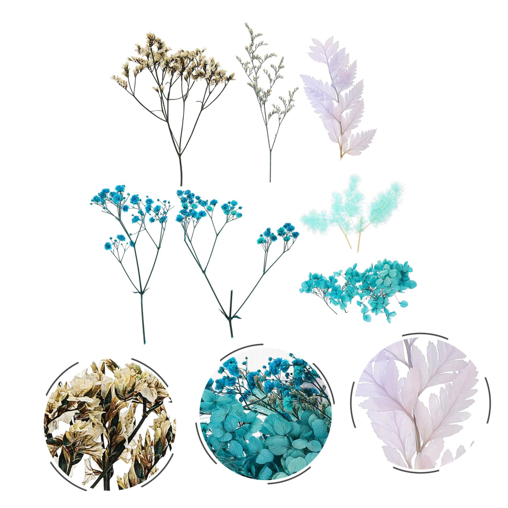 Alipis 5 Set Pacchetto di Materiale per Fiori secchi Arredamento Ortensia Fiori secchi pressati Floreale peonie goffratura Decora Fiori pressati di San Fai da Te Blue
