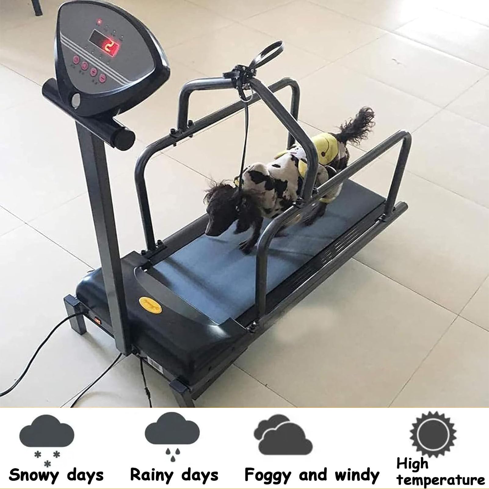 Tapis roulant per cani di piccola taglia – Attrezzo per esercizi per cani con display LCD, attrezzatura per esercizi interni ed esterni, strumento per la perdita di peso