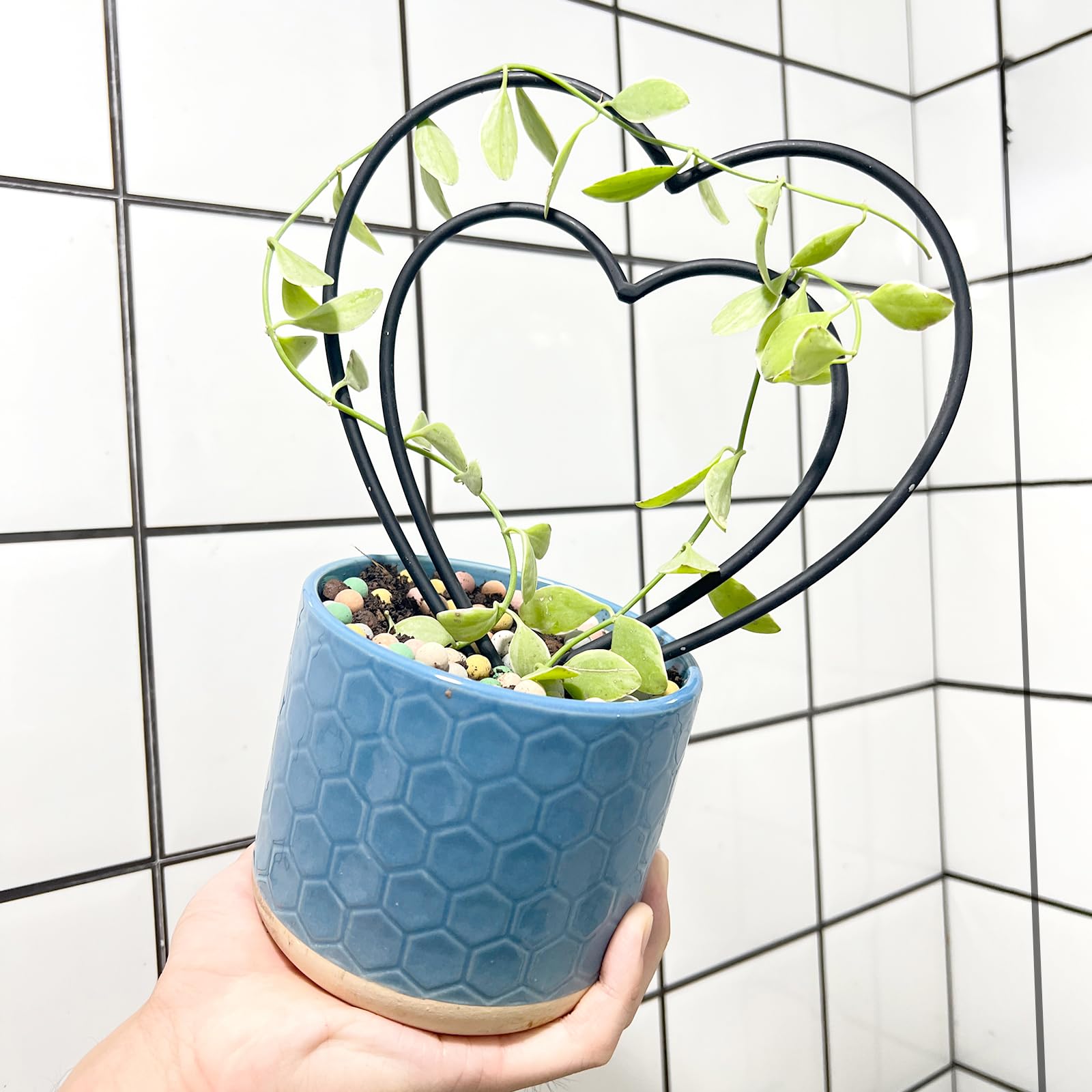 12 Runde Rankgitter Aus Metall, 34x24 Cm – Rostfreie Kletterhilfe Für Hoya, Pothos & Zimmerpflanzen