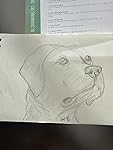 Review Image by Amazon Customer